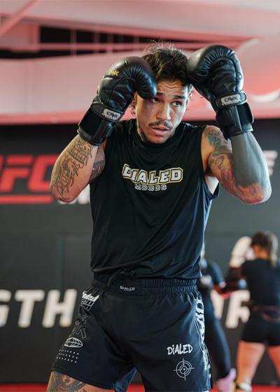 Andre Fili